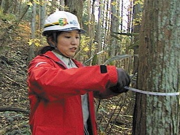 ガイアの夜明け 森が泣いている 日本林業を復興せよ
